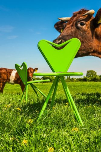 Hans van 't Leven, Frog Chair